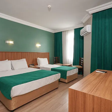 Hotel Ergun 3*