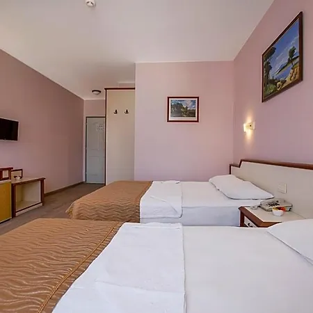 Hotel Ergun 3*