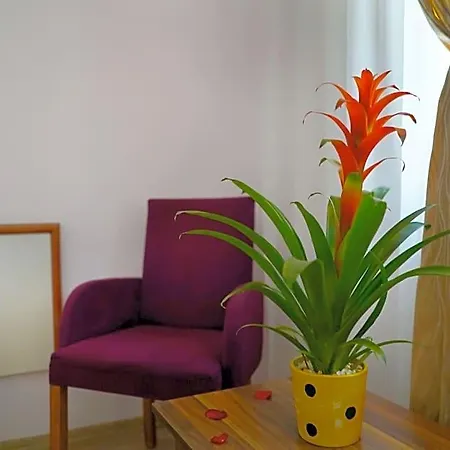 Ergun Hotel