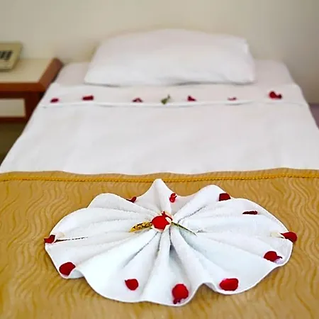 Hotel Ergun