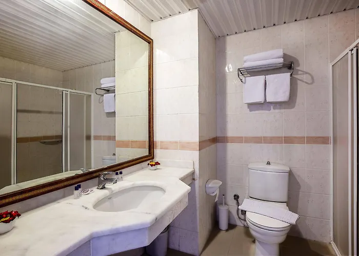 酒店 Ergun 阿拉尼亚