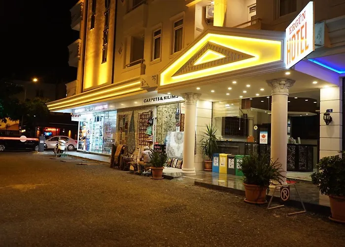 Ergun Hotel 3*