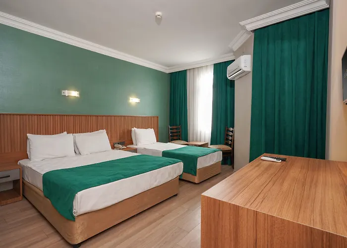 Hotel Ergun 3*